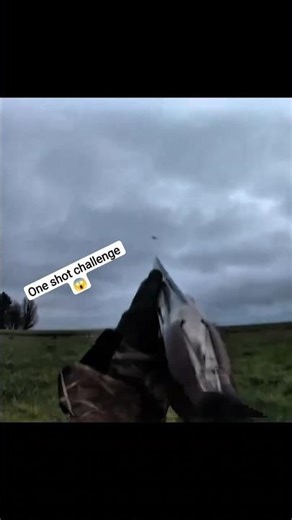 One Shot Challenge 😱|#goosehunting #hunting #oxota #birds #birdshunting #shorts