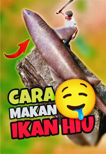 Mengolah Daging Ikan Hiu Menjadi Makanan Lezat