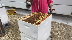 9.5K views · 185 reactions | Have you heard about the MURDER...