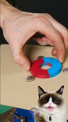 Rev Up Your Skills: Mind-Blowing DIY Car Repair Hack!