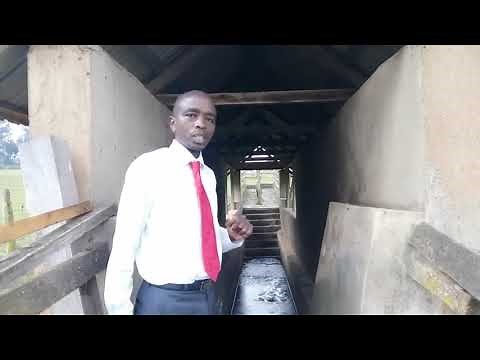 Cattle Dip parts and function-How to Control External parasites