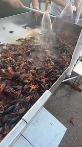 We have crawfish starting at 4pm tonight. We are ready for the crowds! 1st week of crawfish is in the books. Week 2, we’re coming for you! 🦞‼️ open until 10pm tonight | Clawdaddy's Crawfish And Oyster Bar