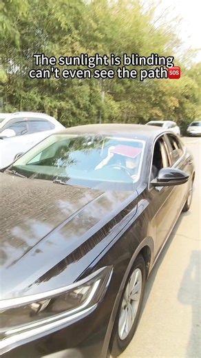 Best Car Sunshade for Summer Heat