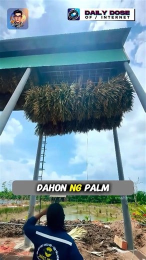 393K views · 6.7K reactions | Ang Bat Guano Fertilizer #farmers #agriculture | Wesley Denmark Fernandez Abbas | Facebook