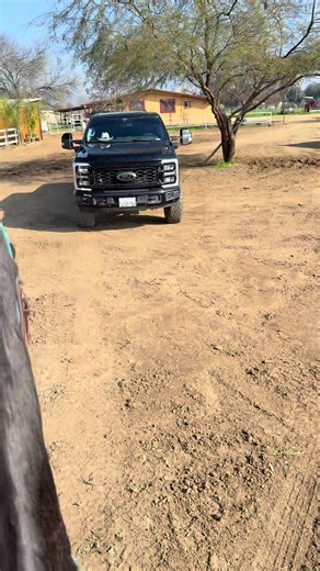 Baila Conmigo: Celebrating Horses and Empowerment