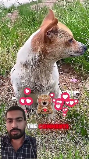 Don’t Pass This Road Sign… Here’s Why 😱