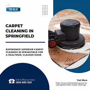 Experience Superior Carpet Cleaning in Springfield for a Healthier, Cleaner Home