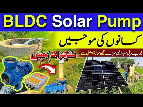 BLDC 3 Inch Pump Complete Guide 🔥 | BLDC Motor Technology | Shahzad Solar Pump Performance Review |