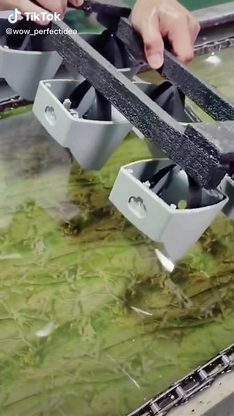 Expert Manufacturing Skills: Precision Assembly Process