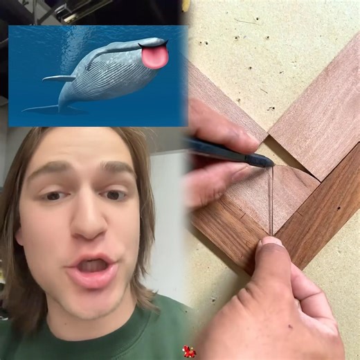 Why do they explode? 😭#scientificfacts#science