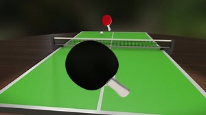 3d Animation Table Tennis Game Pov Stock Footage Video (100% Royalty-free) 1076511233 | Shutterstock
