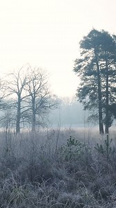 荷兰 德伦特 德温格尔德维尔德 - Free video on Pixabay