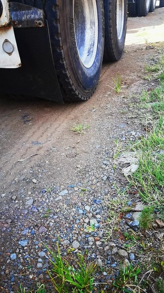 #SAMA28 #phuzamaphilisi #code14truckdriver❤️👌#umgidiwamanazaretha