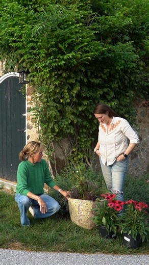 As summer pots fade, it’s the perfect time to give them new life with fresh fall planters. Leslie and I love saving perennials, adding texture with grasses, and finishing with bold pops of seasonal color for a warm autumn welcome. Want to see how we refreshed our tired summer containers step by step? The full video drops at 5:00pm on my YouTube channel, Hungry For Home. Make sure you subscribe so you don’t miss it! #fallplanters #fallcontainerideas #seasonaldecor #gardeninspiration #fallseries #