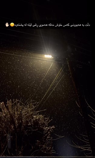 Exploring Bazi and Barzani Influences