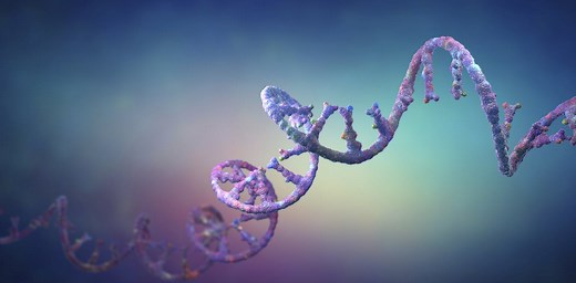 How does RNA know where to go in the city of the cell? Using cellular ZIP codes and postal carrier routes