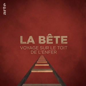 34K views · 298 reactions | "La Bête", le train de la mort. Sur son dos, des migrants traversent le Mexique. ➡ bit.ly/MexiqueMigrantsDisparus | ARTE Info | Facebook