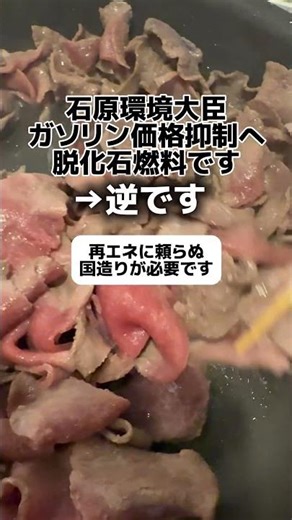 Ishihara: "To keep gasoline prices down, we're moving away from fossil fuels." → It's the opposite.