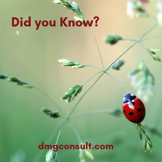 The top strategic goal for 2026—modernizing, digitizing, and AI enabling the contact center—signals a shift from broad AI aspirations to specific tactics and technologies that deliver measurable outcomes. https://www.dmgconsult.com/2026-the-year-of-cx-ai-payback/ #DMGResearch #contactcenter #CX #AI #CAI #CA #AgenticAI | DMG Consulting LLC