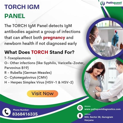 TORCH IgM Panel Test Explained | Pregnancy Infection Screening Test #pregnancy #bloodtest #women