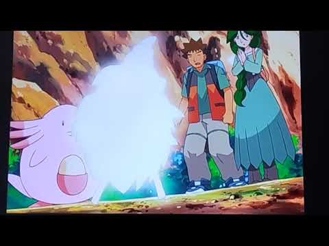 Cheryl's Burmy Evolves into Mothim