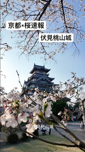 Kyoto Sakura Update — Fushimi-Momoyama Castle 🌸 (Apr 2)