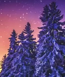 8.2K views · 272 reactions | Ștefan Hrușcă: Afară ninge liniștit...