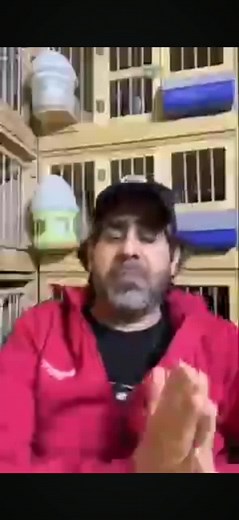 Understanding Sign Language Through Hand Gestures