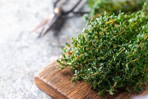 Thyme Spiritual Meaning: 9 Benefits and Uses