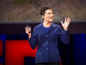 What ants teach us about the brain, cancer and the Internet