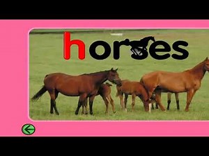 (WATCH) Learn Alphabet Starfall Letter H