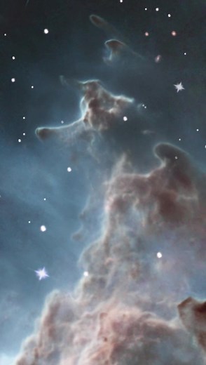 🐵 Explore the Monkey Head Nebula! This spectacular Hubble visualization shows a star-forming region 6,400 light-years away. Hubble imaged the Monkey Head Nebula, formally known as NGC 2174, for its 24th anniversary in 2014. Visualization credit: G. Bacon, L. Frattare, Z. Levay, and F. Summers (STScI); Acknowledgment: A. Fujii, the Digitized Sky Survey 2, and the Hubble Heritage Team (STScI/AURA) Music credit: “Becoming Whole,” Zachary Scott Lemmon [BMI], Killer Tracks [BMI], Universal Productio
