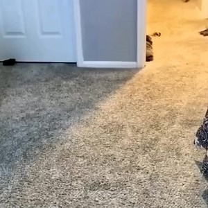 𝙊𝙝𝙖𝙮𝙤 on Reels