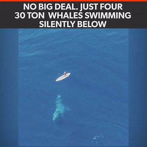 1.6M views · 4.4K shares | Epic!! | The Hook | Facebook