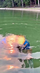 #wolverine | LJ Muskwa