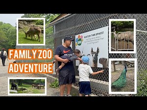 A Day at the Mini Zoo | Family Vlog