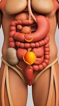 One Mango, 10 Reactions Inside Your Body