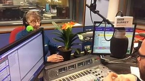 Want some gardening tips? As always tune into BBC Sussex from 9am every Sunday with Joe Talbot and a gardening expert on Dig It. Here Jean Griffin gives you some advice on a Clivia plant. | BBC Sussex