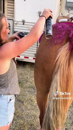 Trick Riding and Rodeo Fun with Western Barbie in Pink Glitter