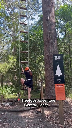 Treetops Adventure Central Coast - Spring into Action! 🌲