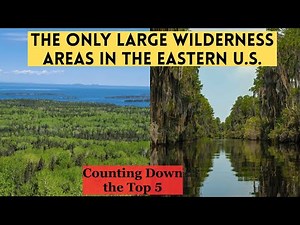 What are the Only 5 Large Areas of Wilderness in the Eastern US?