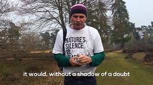 56% of UK wildlife is in decline but it's not too late to act. Help make history and get bird song into the charts for the first time ever, we don't want nature to go silent. Download here: http://natu.re/IeAgW1 🐦🎼🎶🎵 | RSPB