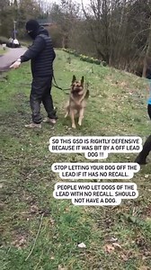 6M views · 18K reactions | This should never happen | Southend Dog Training | Facebook