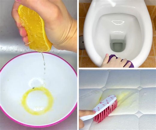 156K views · 1.6K reactions | 10 cleaning tips which will be useful for any occasion  | Creativo UK | Facebook