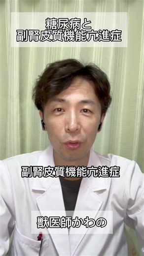 犬猫の糖尿病とクッシングの関係