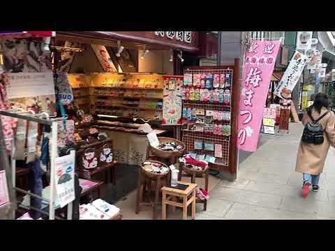 熱海駅から来宮神社までの街歩き