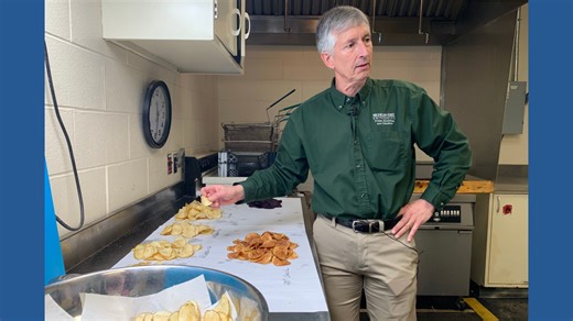 Researchers have spent decades breeding better potatoes for chips, and their work isn't done
