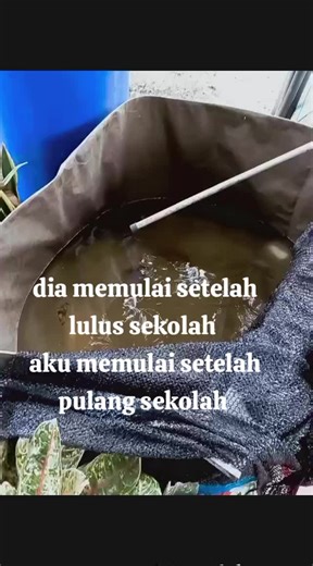 Budidaya Lele oleh Peternak Muda Indonesia