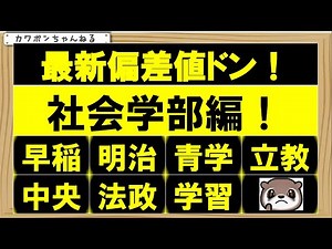 ＃早稲田＃偏差値＃社学