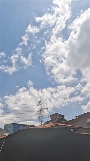 DOUGLINHAS PIPAS - #kite #pipas #shorts